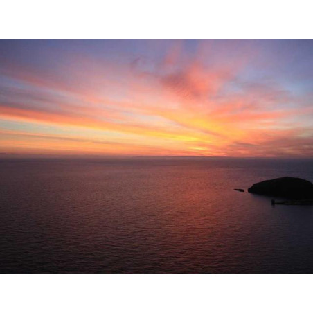 Sleek Rubber Lamp fr-FR